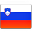  , , slovenia, flag 32x32