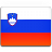  , , slovenia, flag 48x48