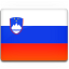  , , slovenia, flag 64x64
