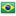 Иконка тег, бразилия, tags, brazil, brasil 16x16