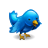  , , , twitter, blue, bird, animal 48x48