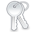 Иконка 'ключи'