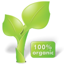 Иконка природа, органические, завод, plant, organic, nature, leaf 128x128