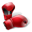 Иконка 'boxing'