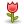 Иконка 'роза'