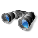 Иконка 'binoculars'