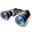 Иконка 'binocular'